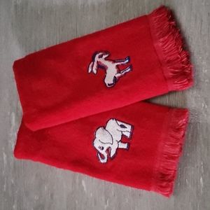 Pair of Republican and Democratic Hand Towels